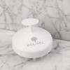 99.9% antibacterial Buricell scalp massage shampoo brush, black / 99.9%