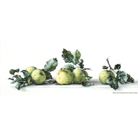 Luca-S Apples Still Life Counted Cross Stitch Kit, Pack of 1