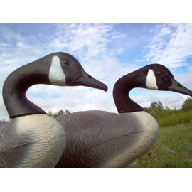 Canada Goose Decoy Head Flocking Kit - 50 Heads