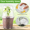 RooTrimmer 6 Inch Clear Humidity Dome, 30 Pcs Adjustable Plant