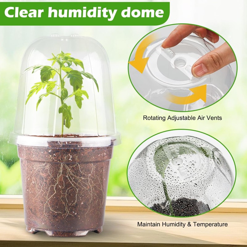 RooTrimmer 6 Inch Clear Humidity Dome, 30 Pcs Adjustable Plant