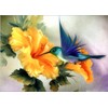 Abillyn Embroidery Cross Stitch Kits Hummingbird and Flower Stamped with