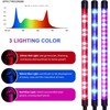 Teilybao Solar-Powered Grow Lamp with Battery, 2-Head 40 LED Full