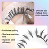Pteris Lashes Extensions Anime Chunk Manga Lash Fans C/D Curl