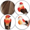 com-four® 24 x Decorative Birds, Artificial Birds in 5 Colourful