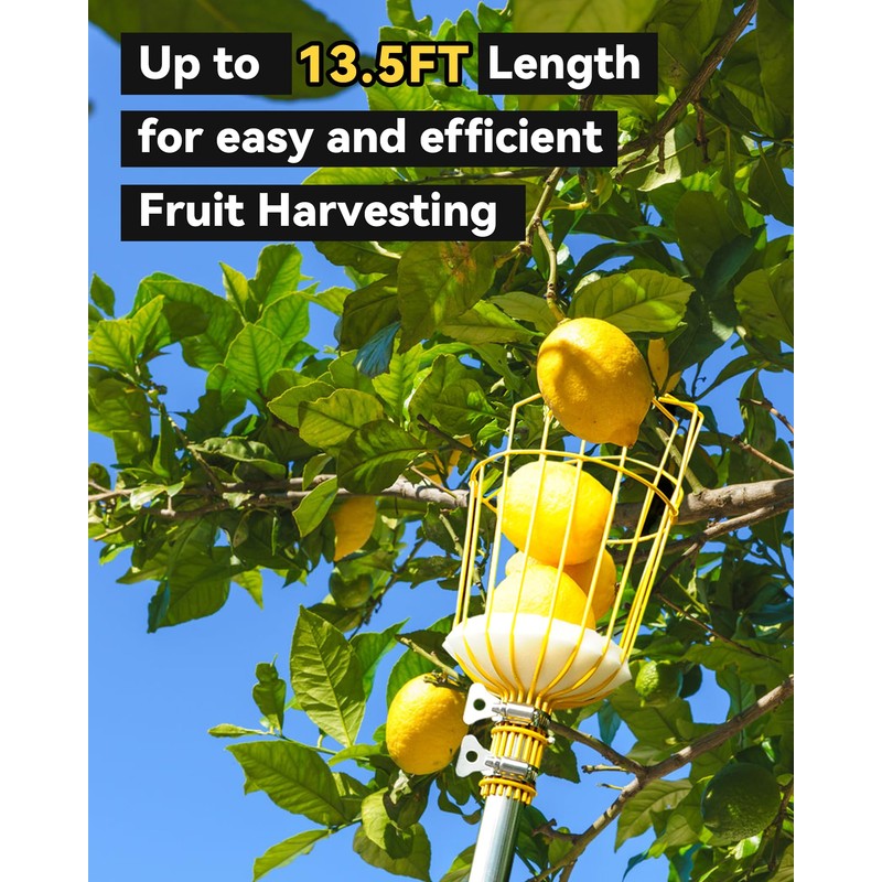 BlumeTrec 13.5FT Fruit Picker, Apple Picker Tool with Adjustable Pole