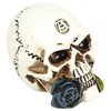 Alchemy England Alchemist Skull: Miniature Skull Unisex Skull Standard, resin,