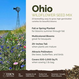Eden Brothers Ohio Wildflower Mixed Seeds for Planting, 1 lb, 480,000+ Seeds with Sweet William, Cornflower | Attracts Pollinators, Plant in Spring or Fall, Zones