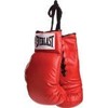 Everlast Vinyl Pair of Red Boxing Gloves - Great for