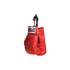 Everlast Vinyl Pair of Red Boxing Gloves - Great for Autographs