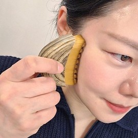 Large Brush-type Gua Sha Face Lifting Brush with Case - WFNT0EO / 대형 브러시형 괄사 페이스 리프팅 브러쉬 케이스 포함-WFNT0EO