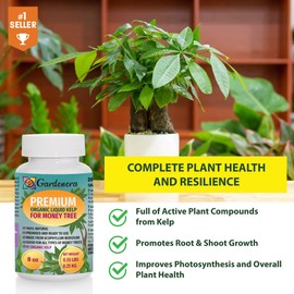 Organic Money Tree Fertilizer by Gardenera - 16 oz - Seaweed Fertilizer for Lush Foliage and Strong Root Development