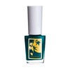 Four Seasons Painting Nail Tokoshine