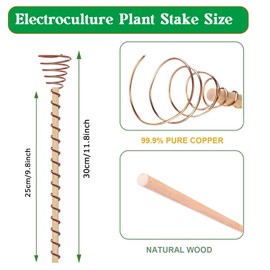 Copper Plant Stakes,Ompinda 6 Pcs Electroculture Gardening Copper Coil Antennas Plant Copper Coils Wire Tools for Growing Plants,Vegetables and Fruits,High-Yield (A)