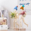 Melphoe 3 Pack Air Plant Holder Wooden Jointed Mannequin Tabletop