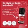 Casida Casida Adventszauber Duftmischung Weihnachtsduft C Duft?l 5 ml