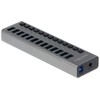 Delock External SuperSpeed USB Hub with 13 Ports + Switch