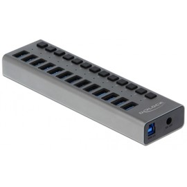 Delock External SuperSpeed USB Hub with 13 Ports + Switch