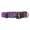 Native Pup Reflective Dog Collars (Medium, Leopard)