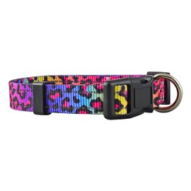Native Pup Reflective Dog Collars (Medium, Leopard)