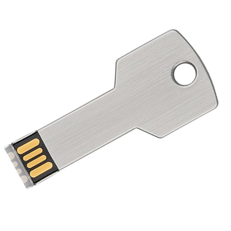 Snblzhef Metal USB Flash Drive, Key Shaped, 32GB Silver -