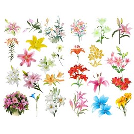 Seasonstorm Fresh Lily Flowers Precut Cute Aesthetic Diary Travel Paper Journal Stickers Scrapbooking Stationery Sticker Flakes Art Supplies