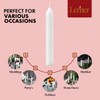 Lerner White Household Candlesticks, Pack of 50 | 6-Hour Burning