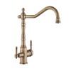 VVQQFGXN Kitchen Purifying Faucet Gold Mixing Faucet Hot and Cold