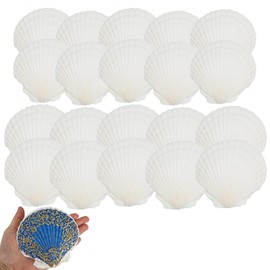 20stk Natürliche Jakobsmuscheln zum Basteln, 2 Größen Groß und Klein Weiße Sommer Strand Muscheln zum Selbermachen Malen Backen Hochzeitsdekor Ozean-Mottoparty und Heimdekoration