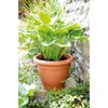 Stewart 2002034 33 cm Essentials Planter - Terracotta
