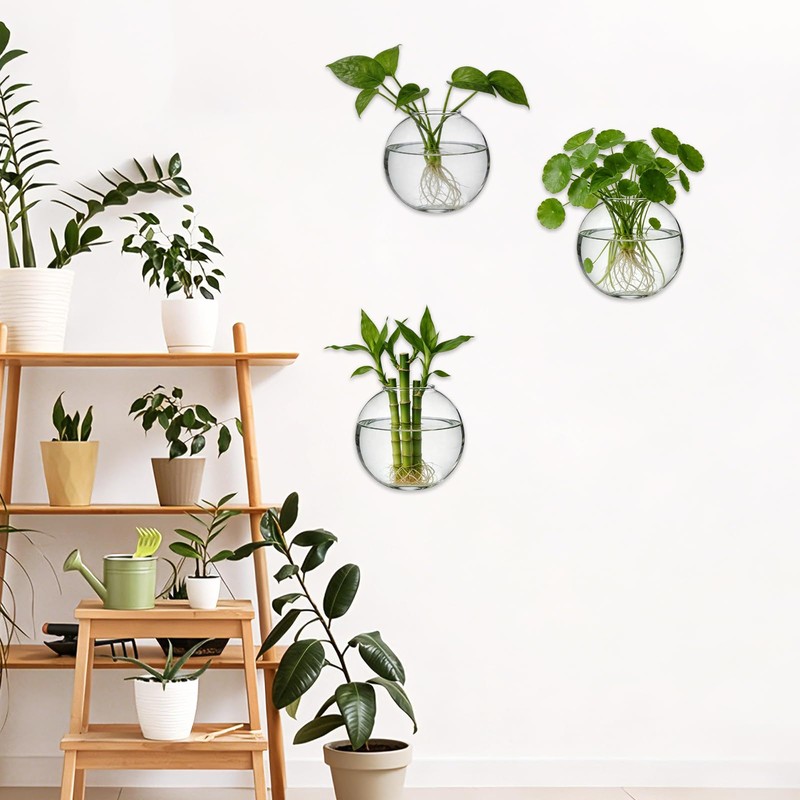 LOLYSIC 8PCS Wall Mounted Vase, Glass Wall Vase Propagation Wallmount