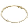 Pentair 79211600 Brass Concrete Plaster Ring Replacement Large Stainless Steel
