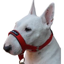 Dog Head Collar Halter Red 6 Sizes (XXL: 14-16 Snout) by Dogs My Love