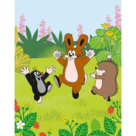 Familando Children's Bed Linen Set The Little Mole 100% Cotton Duvet Cover 100 x 135 cm, Pillowcase 40 x 60 cm (100 x 135 cm, Renforcé/Linon)