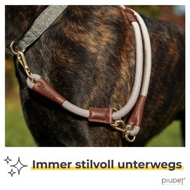 PiuPet® Dog Lead 2 m, 3-Way Adjustable Length, Lead Large and Small Dogs, Dog Lead Large Dogs, Dog Lead Small Dogs, Dog Lead Medium Dogs, Lead Dog (Beige)