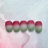 Fig Velvet - Almond / 무화과벨벳 - 아몬드