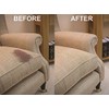 Guardsman 462600 Stain & Odor Eliminator for Fabric Removes Stains,