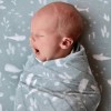 DaraBaby Set 3 Sabanas Muselina Bebé 100% Algodón Suave Transpirable