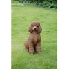 HiLine Gift Ltd. Poodle Sitting Statue Brown White 15.5" x
