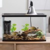 3-Pack Artificial Aquarium Plants Set - 2×6 inch & 1×5