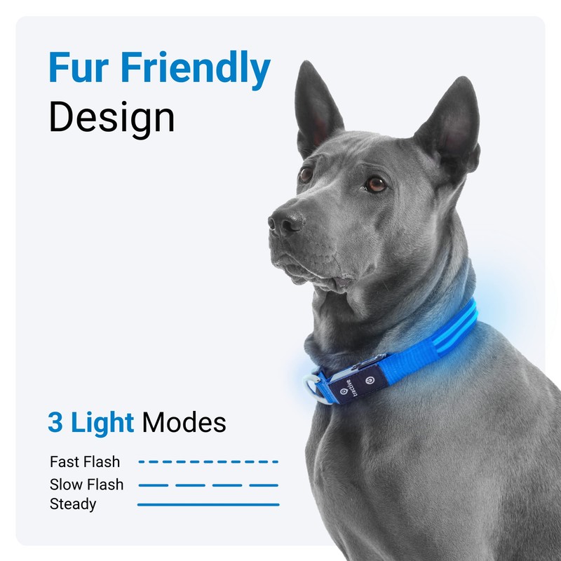 Tractive LED Light Up Dog Collar USB Rechargeable Waterproof (Blue),