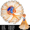 FREGITO Cast Net with Aluminum Ring, American Cast net, Hand
