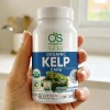 Alga Kelp Orgánica (60 Caps) Organic Side Sabor Natural