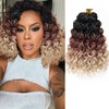 GoGo Curl Crochet hair 18inch Water Wave Crochet hair Ombre