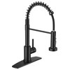 FORIOUS Black Kitchen Faucets with Sprayer, Stainless Steel Sink Faucet