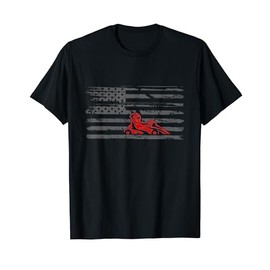 Go-Cart Racer US American Flag Go-Kart Racing T-Shirt