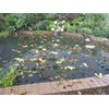 Blagdon 1022385 Clearview Pond Cover Net, Strong Double Weave, Black,