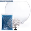 Okllen Mini Glass Fish Bowl, Oblate Small Fish Tank with