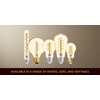 (2 bulbs) GE 48556 Vintage Style, Amber Glass A19 LED