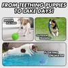 Heavy Duty Indestructible Dog Chew Toys for Aggressive Chewers -